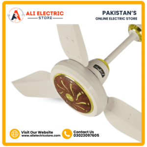Khurshid fan